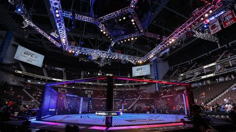 ufc tva sports